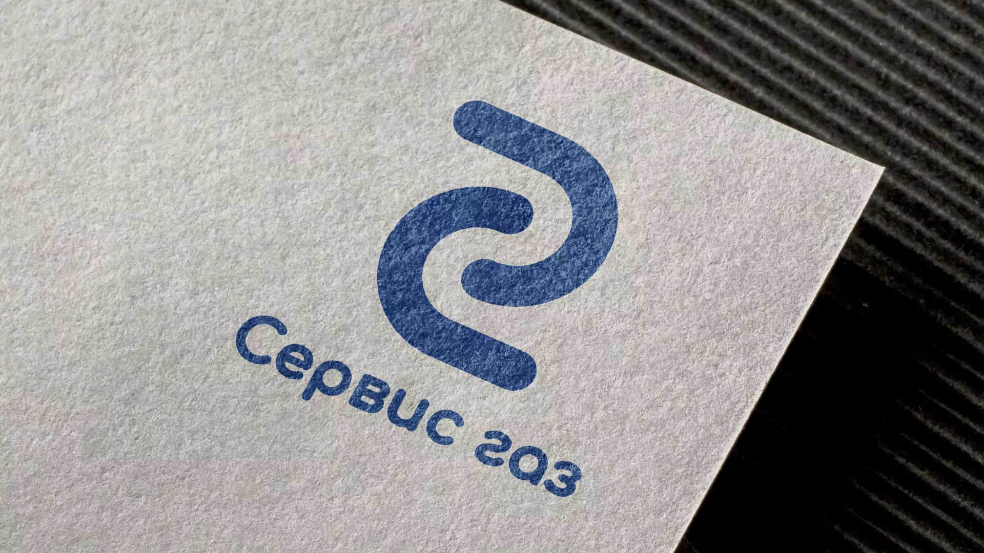 Разработка логотипа «Сервис газ» в Чаплыгине