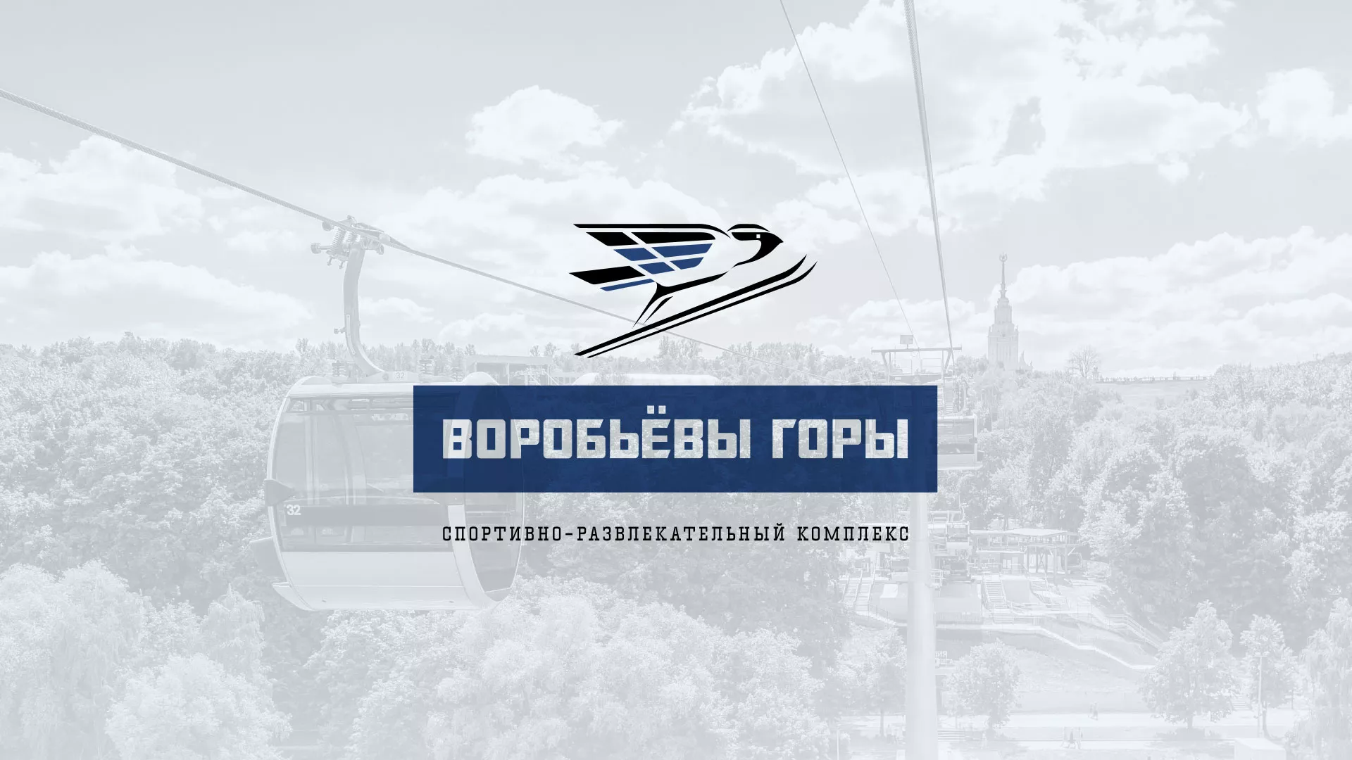 Разработка сайта в Чаплыгине для спортивно-развлекательного комплекса «Воробьёвы горы»