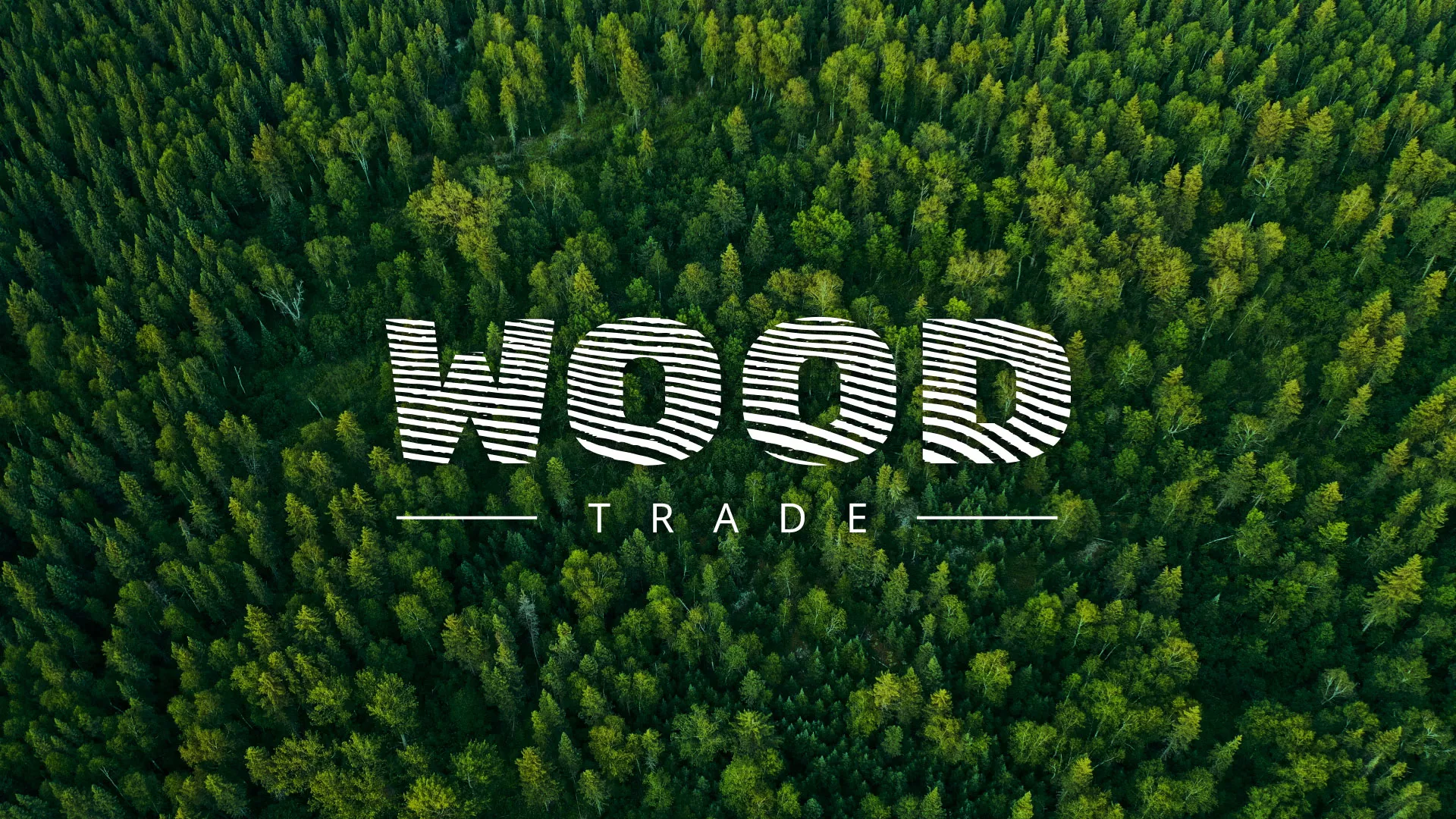 Разработка интернет-магазина компании «Wood Trade» в Чаплыгине