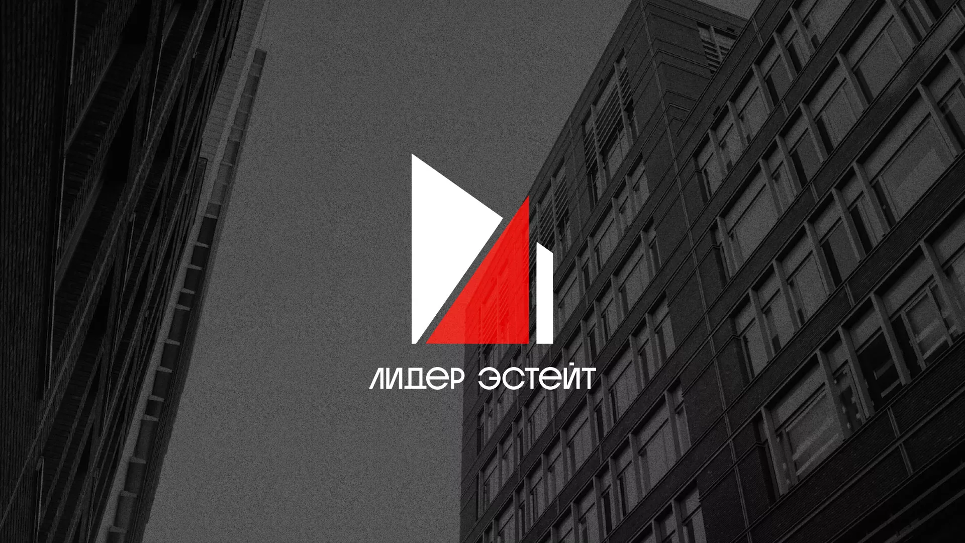 Сделали логотип для агентства недвижимости «Лидер Эстейт» в Чаплыгине